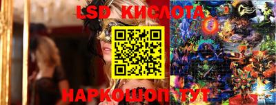 дживик Гатчина